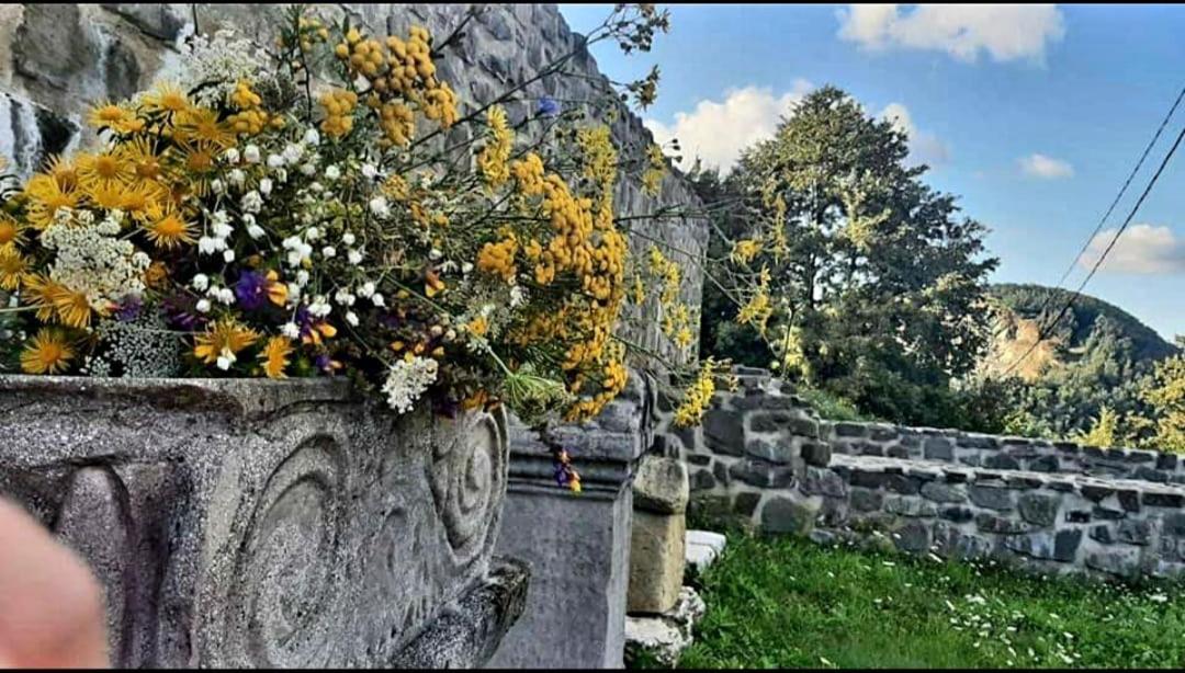 Villa Vatra Strabunilor Moigrad Exterior foto